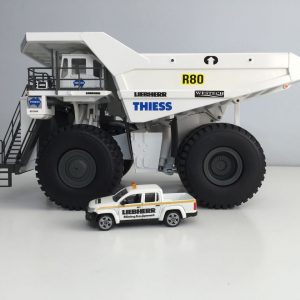 decalcomanie a eau-Miniature THIESS - R80-2