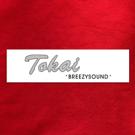 Décalcomanie à eau Tokai BreezySound Modèle FAT