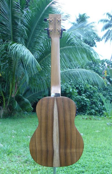 Décalcomanies à eau - Ukulele - Modèle - Eric Wild