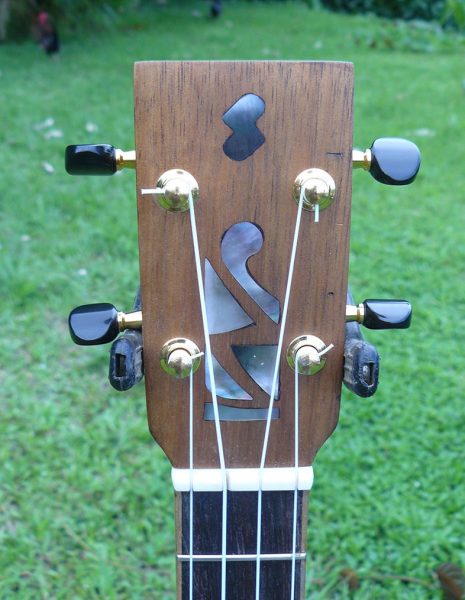 Décalcomanies à eau - Ukulele - Modèle - Eric Wild