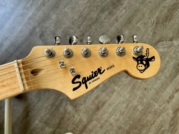 Decalcomanies a eau - Customisation Squier Crocosaur - tete